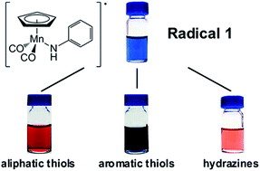 Graphical abstract: Stable manganese carbonyl radicals as a rapid colorimetric thiol and hydrazine sensor