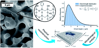 Graphical abstract: Synthesis and morphological characterization of phenyl-modified macroporous–mesoporous hybrid silica monoliths