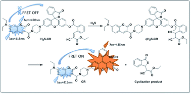 Graphical abstract: A novel FRET-based ratiometric fluorescent probe for highly sensitive detection of hydrogen sulfide