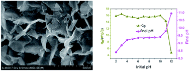 Graphical abstract: Adsorption of fluoride on Mg/Fe layered double hydroxides material prepared via hydrothermal process