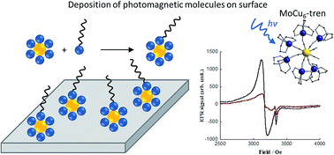 Graphical abstract: Photomagnetic molecular and extended network Langmuir–Blodgett films based on cyanide bridged molybdenum–copper complexes