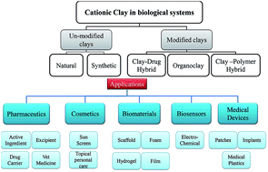 Graphical abstract: Biomedical applications of cationic clay minerals