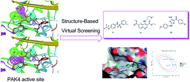 Graphical abstract: Structure-based virtual screening and ADME/T-based profiling for low molecular weight chemical starting points as p21-activated kinase 4 inhibitors