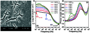 Graphical abstract: Applications of dynamic electrochemical impedance spectroscopy (DEIS) to evaluate protective coatings formed on AZ31 magnesium alloy