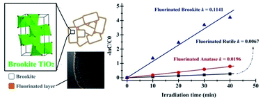 Graphical abstract: New insights into fluorinated TiO2 (brookite, anatase and rutile) nanoparticles as efficient photocatalytic redox catalysts