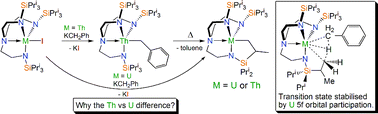 Graphical abstract: The role of 5f-orbital participation in unexpected inversion of the σ-bond metathesis reactivity trend of triamidoamine thorium(iv) and uranium(iv) alkyls
