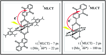 Graphical abstract: Molybdenum–molybdenum quadruple bonds supported by 9,10-anthraquinone carboxylate ligands. Molecular, electronic, ground state and unusual photoexcited state properties