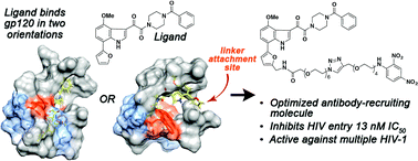 Graphical abstract: Illuminating HIV gp120-ligand recognition through computationally-driven optimization of antibody-recruiting molecules