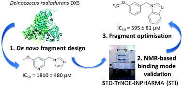 Graphical abstract: De novo fragment-based design of inhibitors of DXS guided by spin-diffusion-based NMR spectroscopy