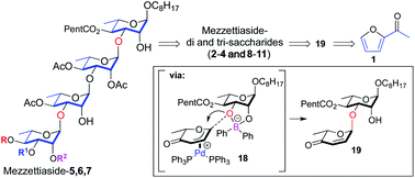 Graphical abstract: De novo asymmetric synthesis of the mezzettiaside family of natural products via the iterative use of a dual B-/Pd-catalyzed glycosylation