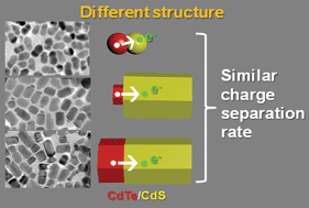 Graphical abstract: Investigation on photo-induced charge separation in CdS/CdTe nanopencils