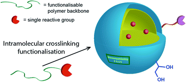 Graphical abstract: Practical synthesis of water-soluble organic nanoparticles with a single reactive group and a functional carrier scaffold