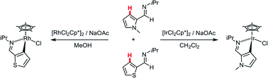Graphical abstract: Metal control of selectivity in acetate-assisted C–H bond activation: an experimental and computational study of heterocyclic, vinylic and phenylic C(sp2)–H bonds at Ir and Rh