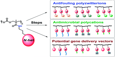 Graphical abstract: Chemically modifiable N-heterocycle-functionalized polycarbonates as a platform for diverse smart biomimetic nanomaterials