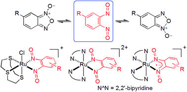 Graphical abstract: Trapping of the putative 1,2-dinitrosoarene intermediate of benzofuroxan tautomerization by coordination at ruthenium and exploration of its redox non-innocence