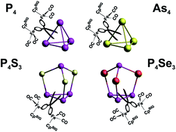 Graphical abstract: Activation of group 15 based cage compounds by [CpBIGFe(CO)2] radicals