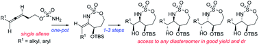 Graphical abstract: Complete stereodivergence in the synthesis of 2-amino-1,3-diols from allenes