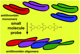 Graphical abstract: Small molecule probes that perturb a protein–protein interface in antithrombin