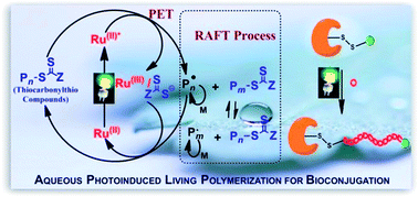Graphical abstract: Aqueous photoinduced living/controlled polymerization: tailoring for bioconjugation