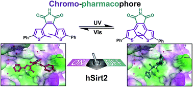 Graphical abstract: Chromo-pharmacophores: photochromic diarylmaleimide inhibitors for sirtuins