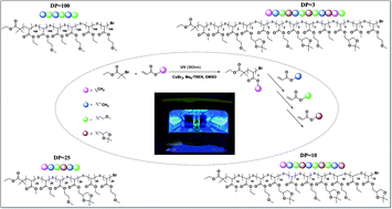 Graphical abstract: Photoinduced sequence-control via one pot living radical polymerization of acrylates