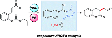 Graphical abstract: A cooperative N-heterocyclic carbene/palladium catalysis system