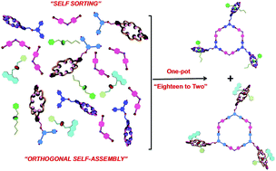Graphical abstract: The construction of complex multicomponent supramolecular systems via the combination of orthogonal self-assembly and the self-sorting approach