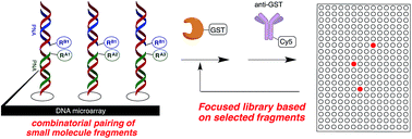 Graphical abstract: DNA display of fragment pairs as a tool for the discovery of novel biologically active small molecules
