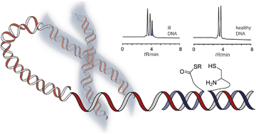 Graphical abstract: Template-directed ligation on repetitive DNA sequences: a chemical method to probe the length of Huntington DNA