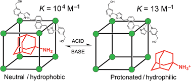 Graphical abstract: pH-dependent binding of guests in the cavity of a polyhedral coordination cage: reversible uptake and release of drug molecules