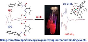 Graphical abstract: The application of chiroptical spectroscopy (circular dichroism) in quantifying binding events in lanthanide directed synthesis of chiral luminescent self-assembly structures