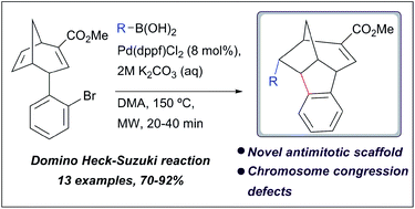 Graphical abstract: Synthesis of a novel polycyclic ring scaffold with antimitotic properties via a selective domino Heck–Suzuki reaction
