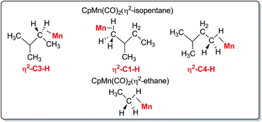 Graphical abstract: Detection of σ-alkane complexes of manganese by NMR and IR spectroscopy in solution: (η5-C5H5)Mn(CO)2(ethane) and (η5-C5H5)Mn(CO)2(isopentane)
