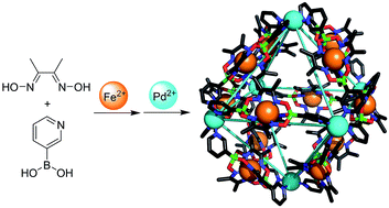 Graphical abstract: Large, heterometallic coordination cages based on ditopic metallo-ligands with 3-pyridyl donor groups