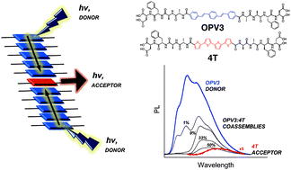 Graphical abstract: Energy transfer within responsive pi-conjugated coassembled peptide-based nanostructures in aqueous environments