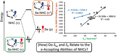 Graphical abstract: What can NMR spectroscopy of selenoureas and phosphinidenes teach us about the π-accepting abilities of N-heterocyclic carbenes?