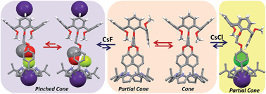 Graphical abstract: Ion pair-induced conformational motion in calix[4]arene-strapped calix[4]pyrroles
