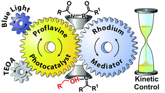 Graphical abstract: Visible light photocatalytic reduction of aldehydes by Rh(iii)–H: a detailed mechanistic study
