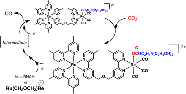 Graphical abstract: Ru(ii)–Re(i) binuclear photocatalysts connected by –CH2XCH2– (X = O, S, CH2) for CO2 reduction