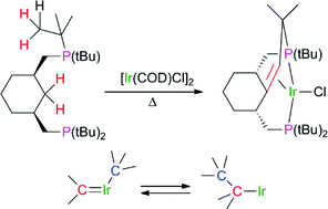 Graphical abstract: Formation of a C–C double bond from two aliphatic carbons. Multiple C–H activations in an iridium pincer complex
