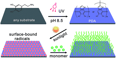Graphical abstract: Brushing up from “anywhere” under sunlight: a universal surface-initiated polymerization from polydopamine-coated surfaces