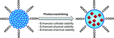 Graphical abstract: Light-induced crosslinkable semiconducting polymer dots