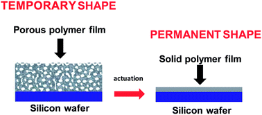 Graphical abstract: Temperature controlled shape change of grafted nanofoams