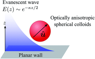 Graphical abstract: Translational and rotational near-wall diffusion of spherical colloids studied by evanescent wave scattering