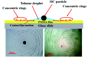 Graphical abstract: Evaporation-induced formation of self-organized gradient concentric rings on sub-micron pre-cast PMMA films