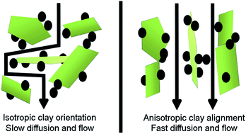 Graphical abstract: Magnetically induced structural anisotropy in binary colloidal gels and its effect on diffusion and pressure driven permeability