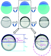 Graphical abstract: Droplet topology control of Janus emulsion prepared in one-step high energy mixing