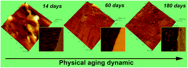 Graphical abstract: Thermotropic dynamic processes in multiphase polymer systems by (cryo-)AFM