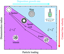 Graphical abstract: From multi-ring to spider web and radial spoke: competition between the receding contact line and particle deposition in a drying colloidal drop