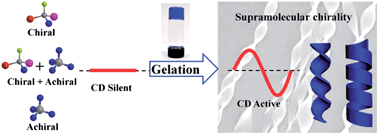 Graphical abstract: Gelation induced supramolecular chirality: chirality transfer, amplification and application
